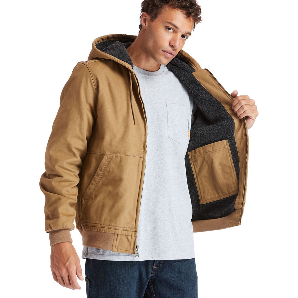 Chaquetas Timberland Argentina Hombre - Pro® Gritman Lined, Hooded Lona - Marrones - PIWGUY-173